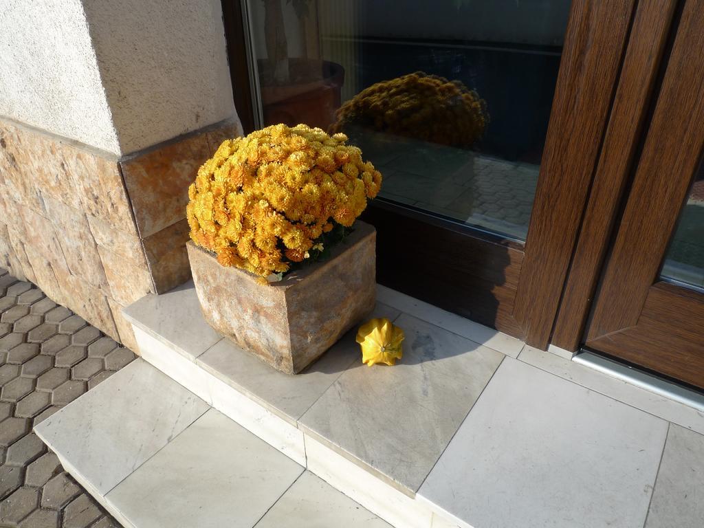 Hotel Prokop Prag Dış mekan fotoğraf